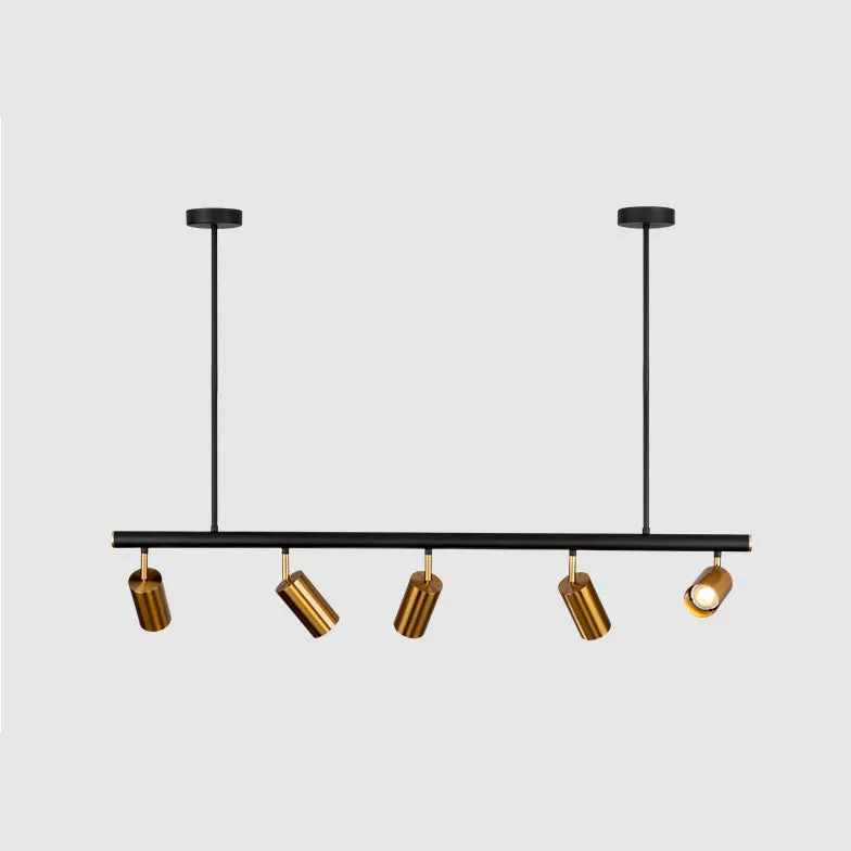 Modern Brass Hanging Track Lights