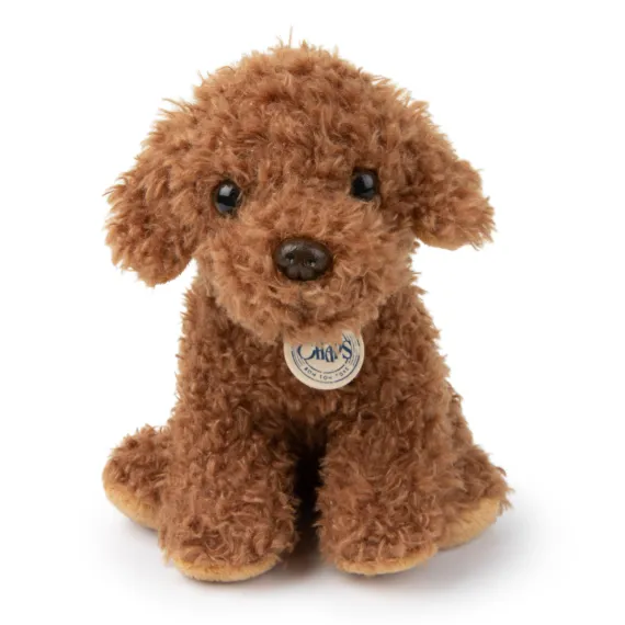 Stacy the Labradoodle in Giftbox