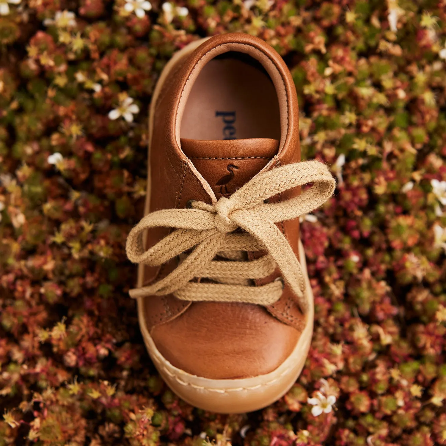 Toddler Leather Lace Shoes - Cognac