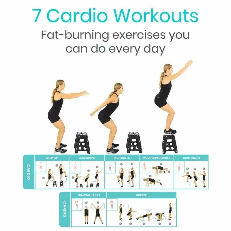 Vive Health Bodyweight Workout Poster