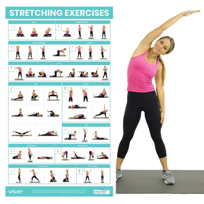 Vive Health Stretching Workout Poster