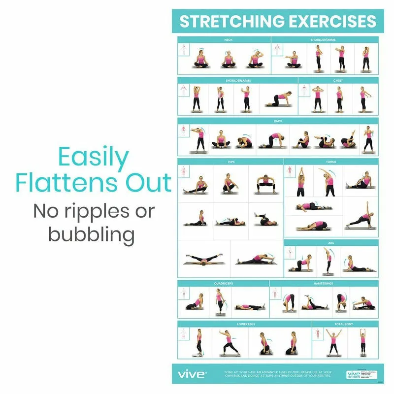 Vive Health Stretching Workout Poster